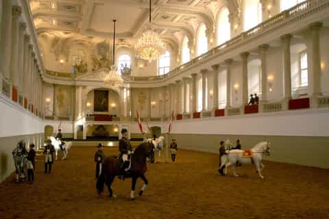 Vienna: Spanish Riding School Training