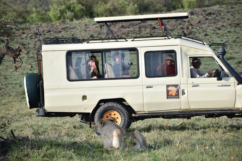 3 jours de safari à AmboseliExpédition de 3 jours à Amboseli et Tsavo