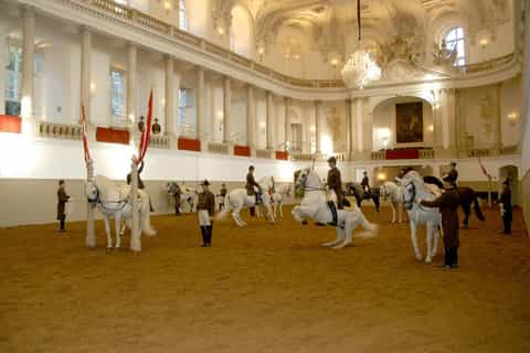 Vienna: Spanish Riding School Training