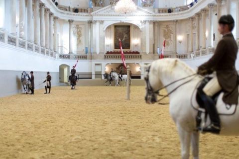 Вена: тренировка в Испанской школе верховой езды