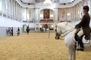 Wien: Spanische Hofreitschule - Training