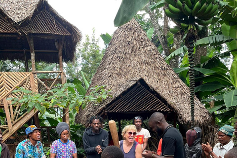 From Arusha: Materuni Waterfalls & Coffee Tour