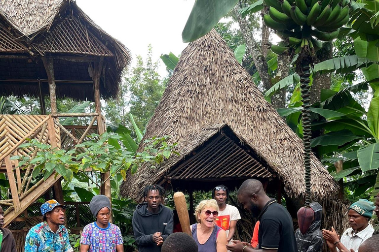 From Arusha: Materuni Waterfalls & Coffee Tour