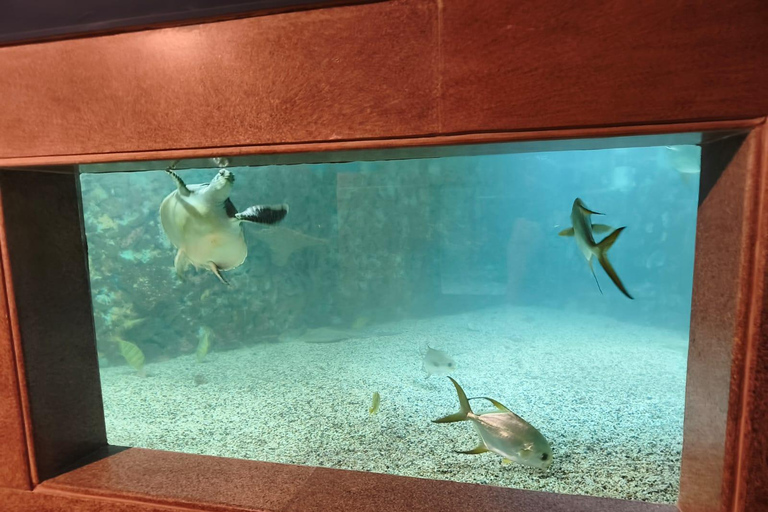 Hurghada: Hurghada City Tour with optional Red Sea Aquarium Group Hurghada City Tour