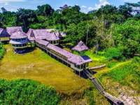 Iquitos , Full Day Excursion to Monkey Island - Housity