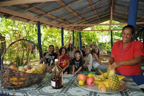 From Punta Cana: Dominican Full-Day Adventure Tour