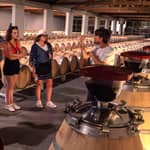 Da Bordeaux: tour enologico di 1 giorno a Saint-Émilion e Margaux