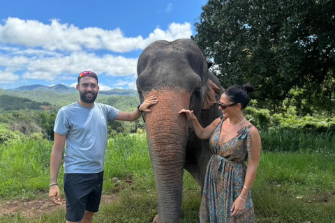 Chiang Mai : Sanctuaire des éléphants, sentier des moines et visite du Doi SuthepPrise en charge en hôtel à Chiang Mai Center