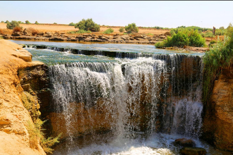 From Cairo: 4x4 Desert Safari, Waterfalls & Magic Lake Shared Tour: Wadi El Rayan, Magic Lake & Lake Qarun, Jeep