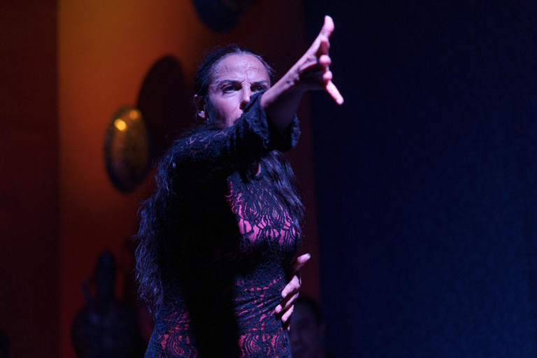 La Soleá Spectacle: Granada's Elite Flamenco Encounter Flamenco Show Experience