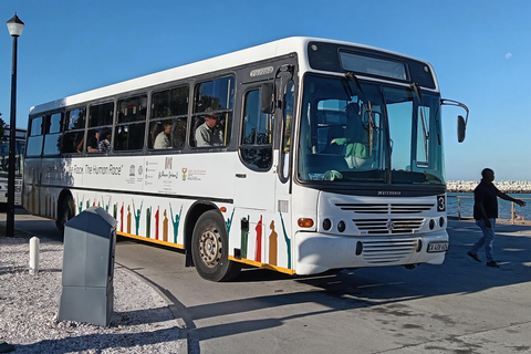 Cape Town: Table Mountain, Robben Island, & Dinner Tour