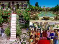 Alcazar + Patios + Quartier juif - Housity