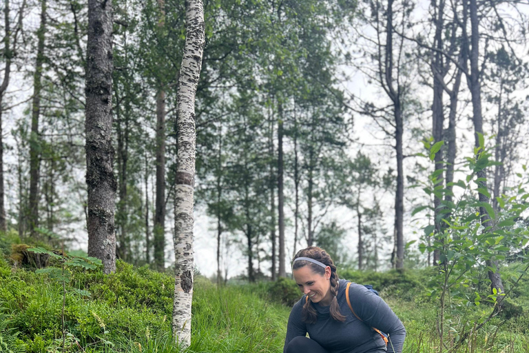 BERGEN I Fløyen Activo - Magical Nature - Hiking Tour