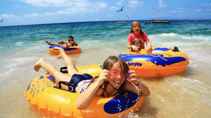 puerto vallarta las caletas beach hideway day trip