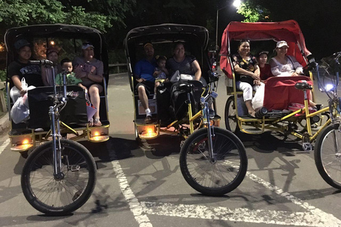 NYC : Visite guidée de Central Park en cyclo-pousse