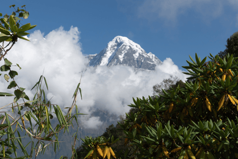 Short Mardi Himal Trek: A Perfect 5-Day Escape from Pokhara