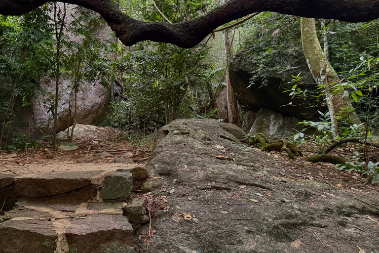 From Colombo: Cave Temples, Jungle Trek & Waterfall Swim