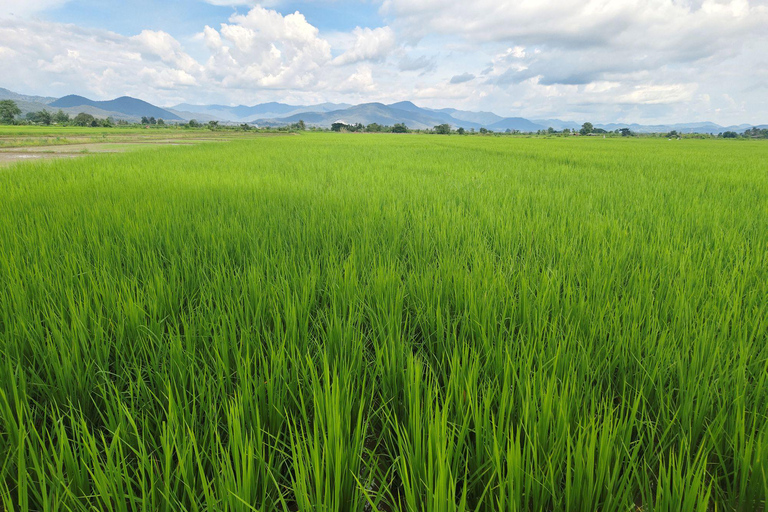 From Chiang Mai: Dantewada, sticky Waterfalls & temple Tour From Chiang Mai: Dantewada, Sticky Waterfalls & Wat Banden