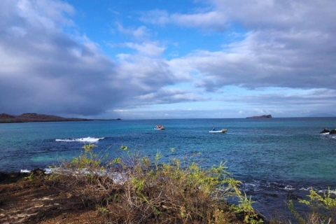 Duurzaamheid en behoud: Tortuga Baai in Galapagos