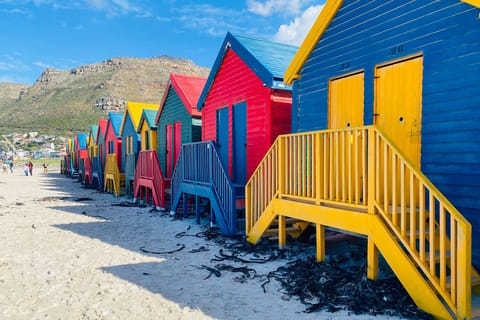 Cape Town: Cape of Good Hope & Penguins Full-Day Tour