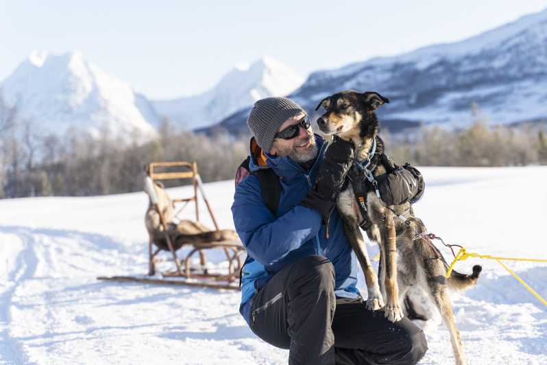 Da Tromsø: visita degli husky con la slitta trainata da cani a Breivikeidet