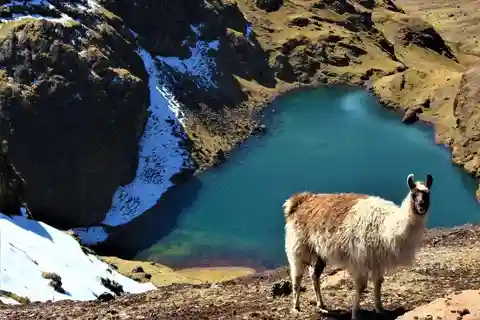 Caminata de 4 días desde Lares a Machu Picchu