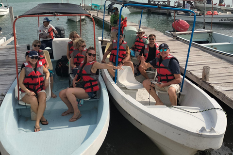 Excursión con flamencos Río Lagartos, Yucatán 2 horas