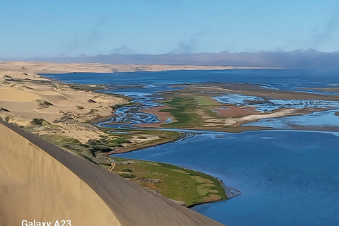 Walvis Bay : Croisière en catamaran et visite du port de Sandwich