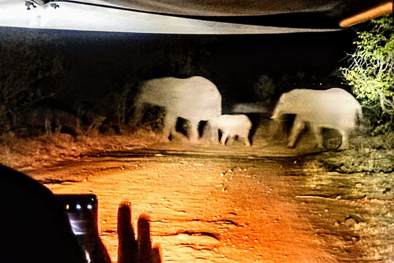 Atividade nocturna nas Cataratas Vitória: Safari de observação de estrelas