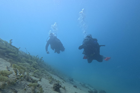 Ohrid: Taucherlebnis im Ohridsee