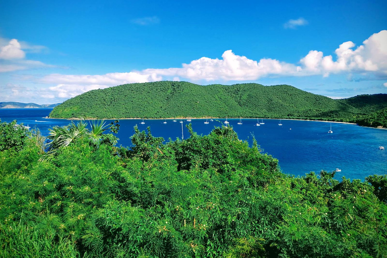 St Thomas: Jeep Tour & Sailing Snorkel Cruise Combo St Thomas: Jeep Tour & Sailing Snorkel Cruise Combo