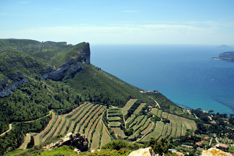 Descubre Cassis: tour de medio día desde Marsella