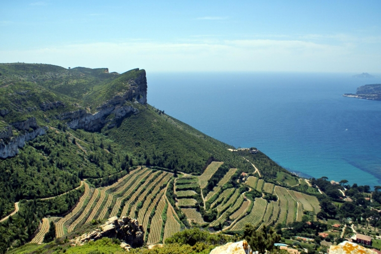 Discover Cassis: Half Day Tour from Marseille
