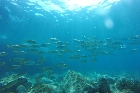 From Barcelona: Costa Brava Private Tour with Lunch KAYAK, SNORKEL & CLIFF JUMP