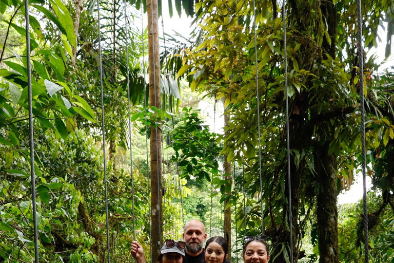 La Fortuna: Tour dei ponti sospesi e della zip line con pranzo