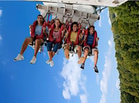 Williamsburg, Busch Gardens Ticket & Water Country Opción - Housity