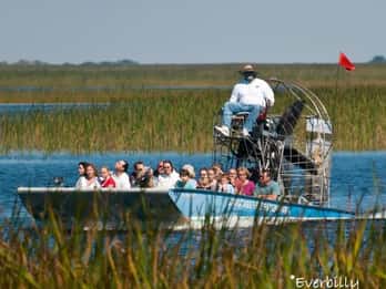 Everglades: Sawgrass Park Airboat-Tour mit Ausstellung Everglades: Sawgrass Park Airboat-Tour mit Ausstellung
