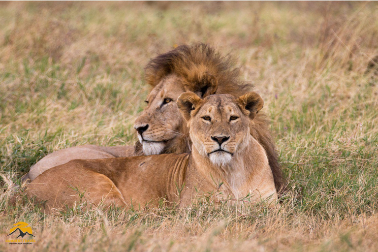 3-Day Wildlife Wonder! Tarangire, Lake Manyara & Ngorongoro.