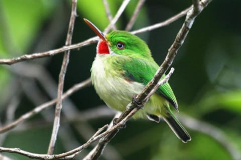 Rockland Bird Sanctuary