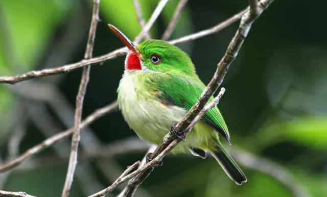 rockland bird sanctuary
