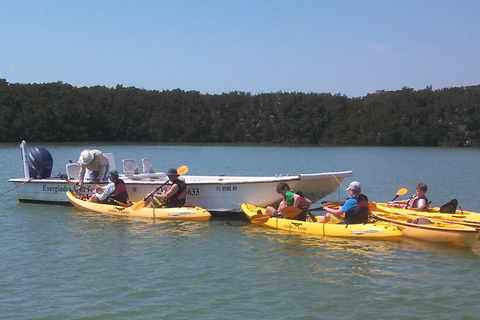 Everglades: Boat Assisted Kayak Eco Tour