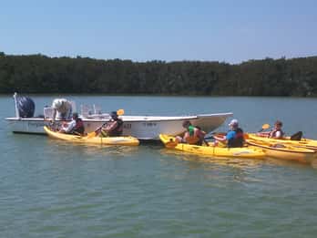 Everglades Nationalpark: Boot, Kayak & Rundgang Öko-Tour Everglades Nationalpark: Boot, Kayak & Rundgang Öko-Tour