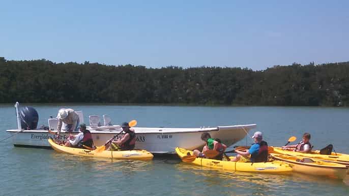 parque nacional everglades ecotour en barco kayak y a pie