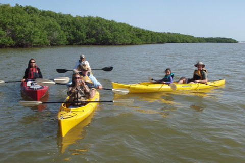 Everglades: Boat Assisted Kayak Eco Tour