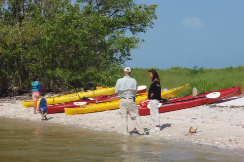 Everglades: Boat Assisted Kayak Eco Tour