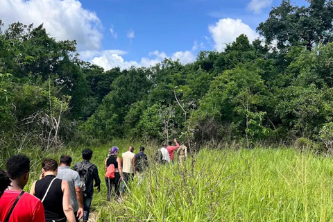 Diani: Guided day trip to Shimba Hills Reserve with lunch