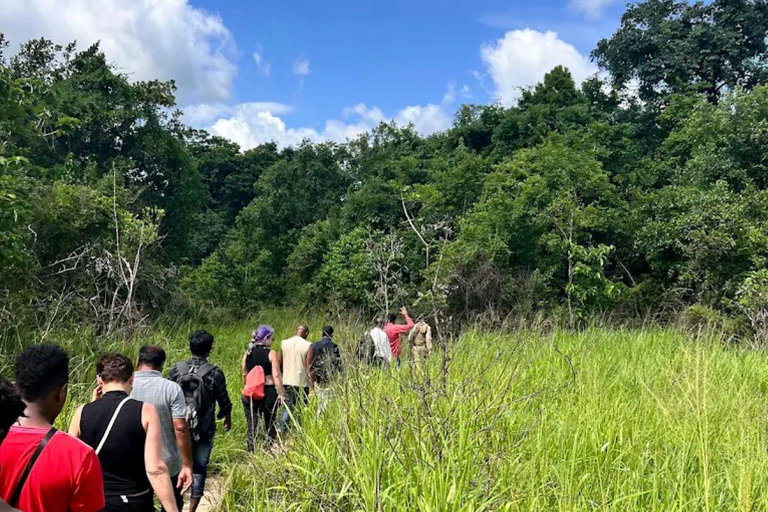 Diani: Guided day trip to Shimba Hills Reserve with lunch