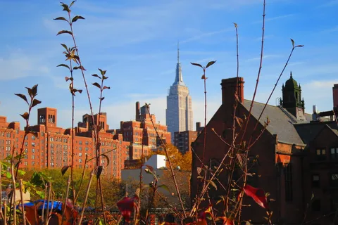 Nowy Jork: Wycieczka piesza High Line