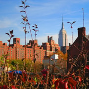 New York City: Secrets Of High Line Park Walking Tour