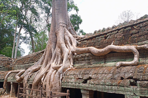 Angkor Wat, Angkor Thom, and Ta Prohm Day Trip with Sunset